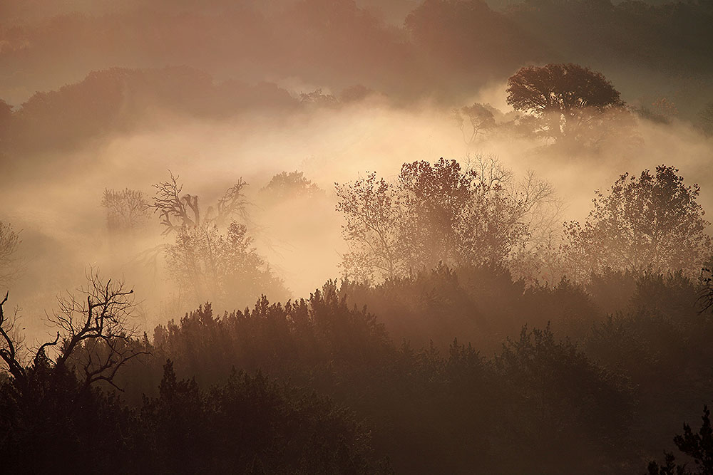 Fog Calohan Creek Valley 151205_4618